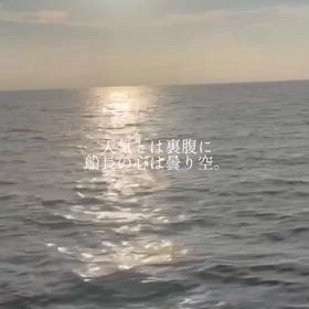 イカいないの…？の画像