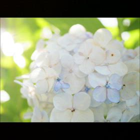 朝から静かに温かく ♡の画像