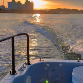 【ボートシーバス便】の画像