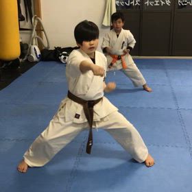 基本稽古と回し蹴り連打の画像