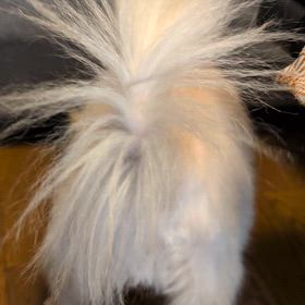 久しぶりにゆっくりとの画像