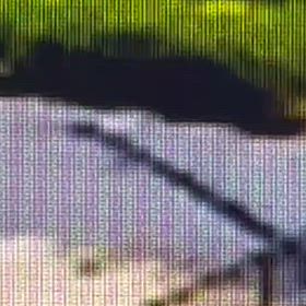 Σ('◉⌓◉’)の画像