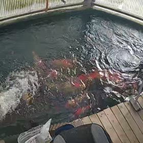 いよいよ今ジーンズも終わりが近づいてきました❗の画像