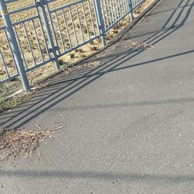 嫌な予感が…　交通誘導中に事故が…の画像