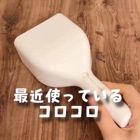 2024/11/15の画像