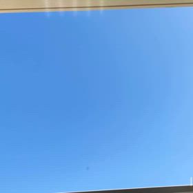 みどりいっぱい＾＾の画像