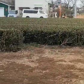 中間点（４区動画）④の画像