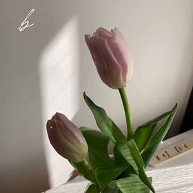 身体を健康に育てるボディメイク　デトックス習慣の画像