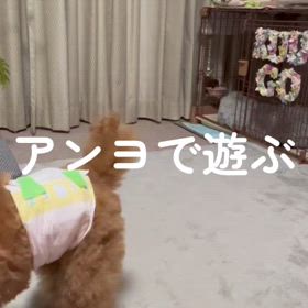 すねた？の画像