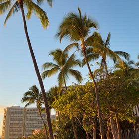 2026.1.22-1.29 Hawaii Part Eightの画像