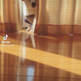 ”ジンの命日”2回目の画像