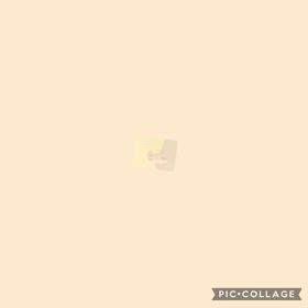 DOGXDOG あいちゃんの画像