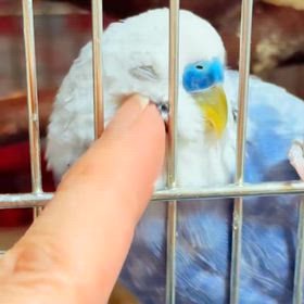 あっという間に２月が半分過ぎましたの画像