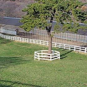 満口ですが、大人気でしたペルソナリテ24の調教です。の画像