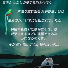 詩/樫の木が風に揺れるふたりの棲む家 ⚓️ 2025-02-22 Instagram Reelsの画像