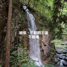 エメラルドグリーンの滝の画像