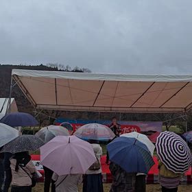 25.3.29巾着田春まつり　動画の画像