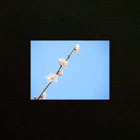 懐かしさと共に、、練習♡    2024年35本の画像