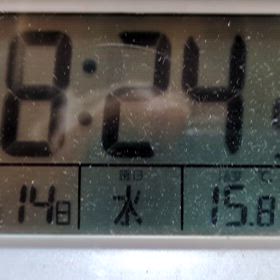 FM Betty 1/14の画像