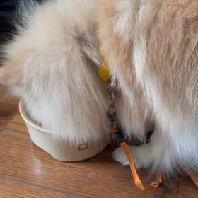 めっちゃ食べてるクル！の画像