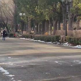 リレー選考会（男子）ゴール付近⑪の画像