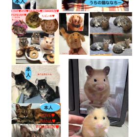 ☆オーダーについて | 羊毛フェルト／アトリエかんな