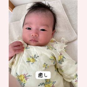 ＊癒し＊の画像