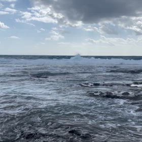 明日は、奄美大島にいく。の画像