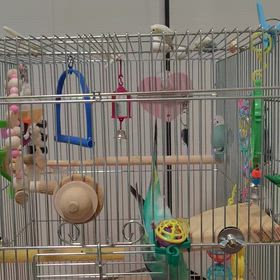 ゆうちゃんは疲れ知らずの画像