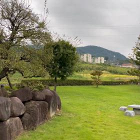 初めての…の画像