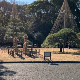 代々木公園の画像