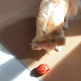 お風呂に入りました。の画像