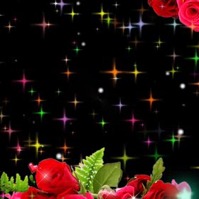 ボク12歳になったよ〜の画像