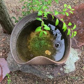 こんばんは。(9月4日)の画像