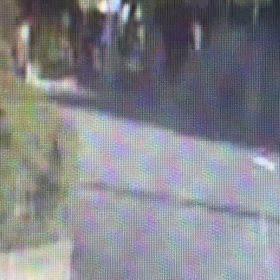 不在は知ってて何故？不審な動き！Σ('◉⌓◉’)の画像