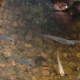 2024/2/22会いたい人の画像