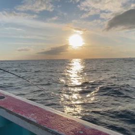 6/8（土）イサキの画像