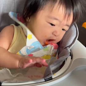 癒され動画１の画像