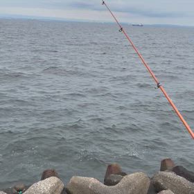 キスのアタリですの画像