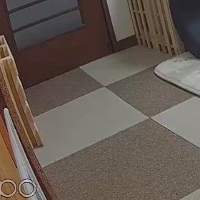 ジャンプの画像