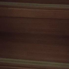 階段で待つ猫の画像