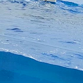 スカイロケットの画像