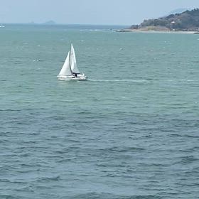 陸から撮影の画像