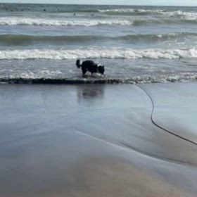 海とゴールデンウィークの画像