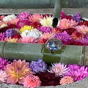 KIN74   白い魔法使い　白い世界の橋渡し　音9の画像