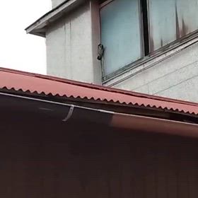 子育て真っ最中の画像