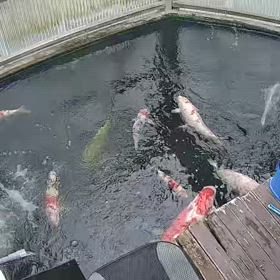 今日の様子の画像