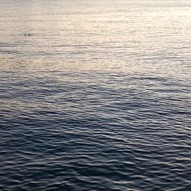 2025.12.06 魚釣りの画像