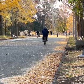 最終選考会(男子トップ　小川くん)の画像