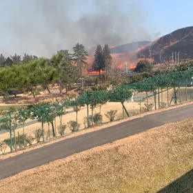 春の訪れ☘️の画像